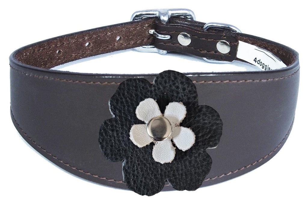 Whippet Greyhound Sighthound Lurcher Decorative Flower Design Leather Collar FD5-7