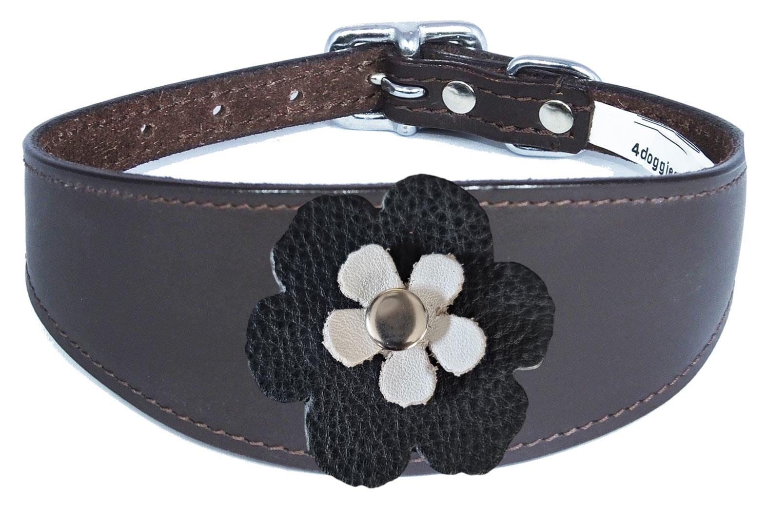 Whippet Greyhound Sighthound Lurcher Decorative Flower Design Leather Collar FD5-7