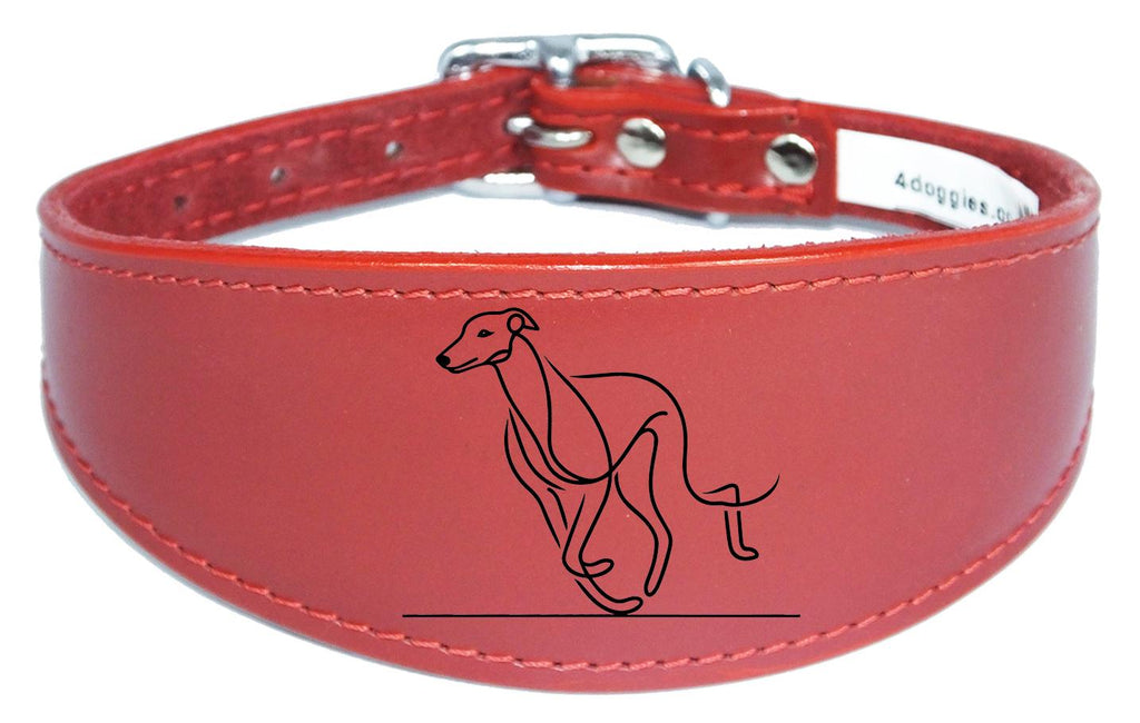 Sighthound Whippet Dog Collar Leather Greyhound with Padded Backing NL 6