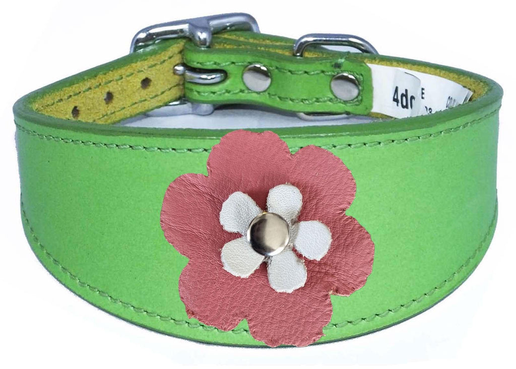 Decorative Flower Design Whippet Greyhound Sighthound Lurcher Leather Collar FD6-7