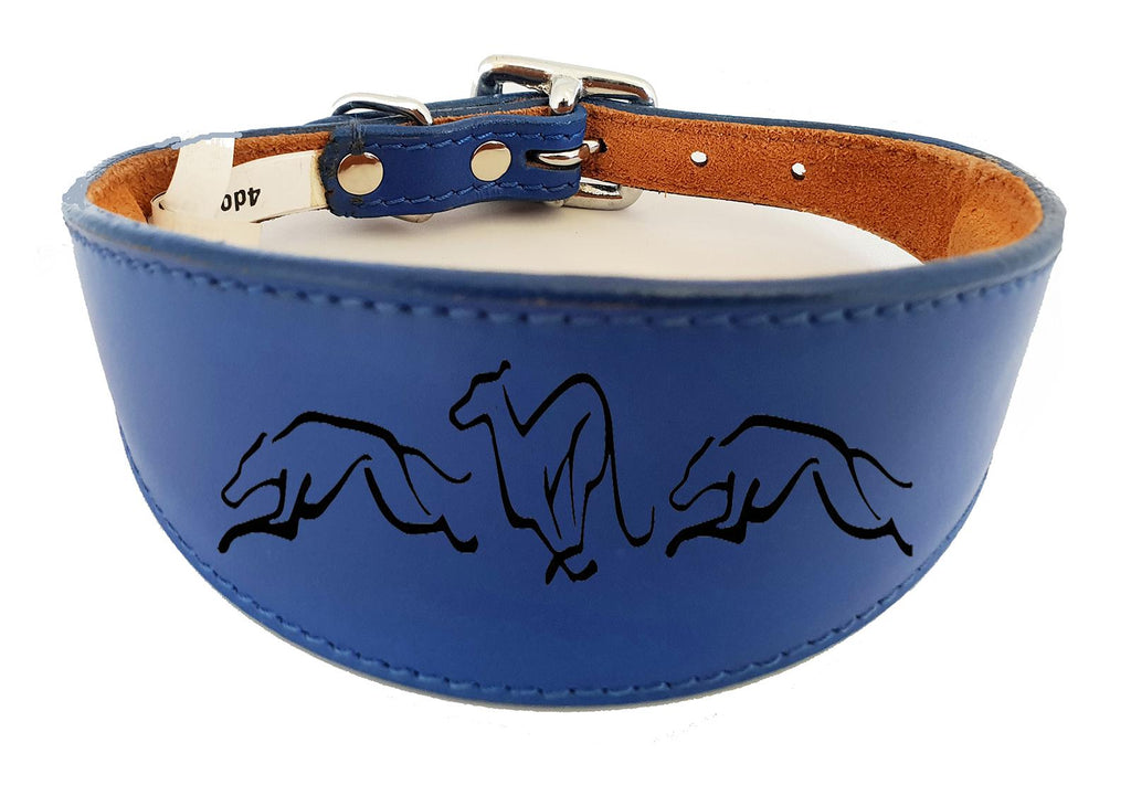 Dog Collar Leather Greyhound Collar Whippet Collar Padded Backing Engraved Running Hound