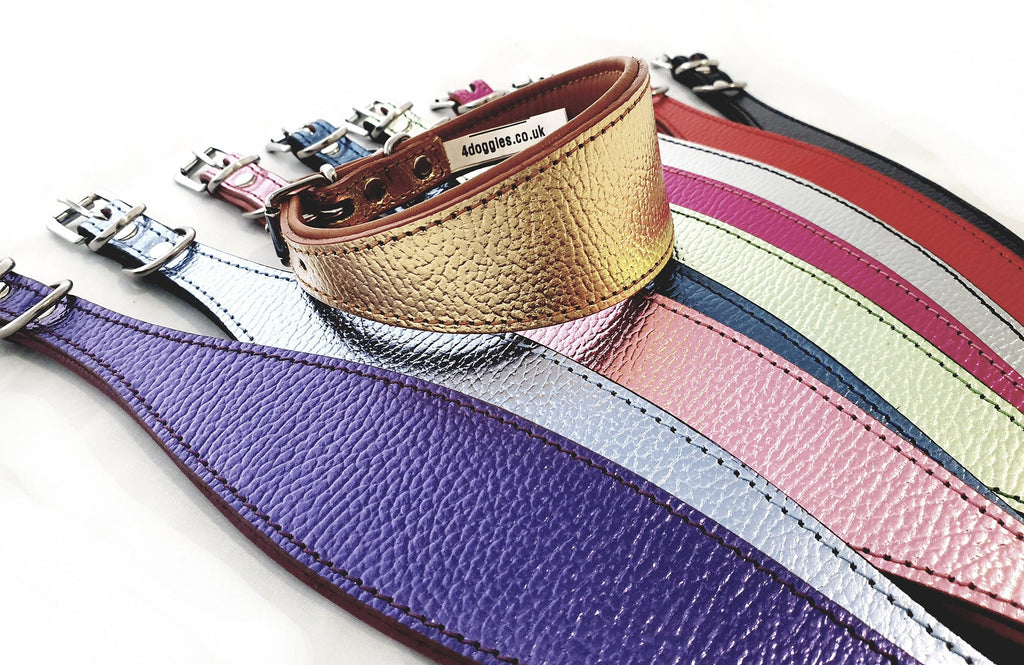 Luxury Foil Leather Dog Collar For Italian Greyhound whippet Sighthound Greyhound