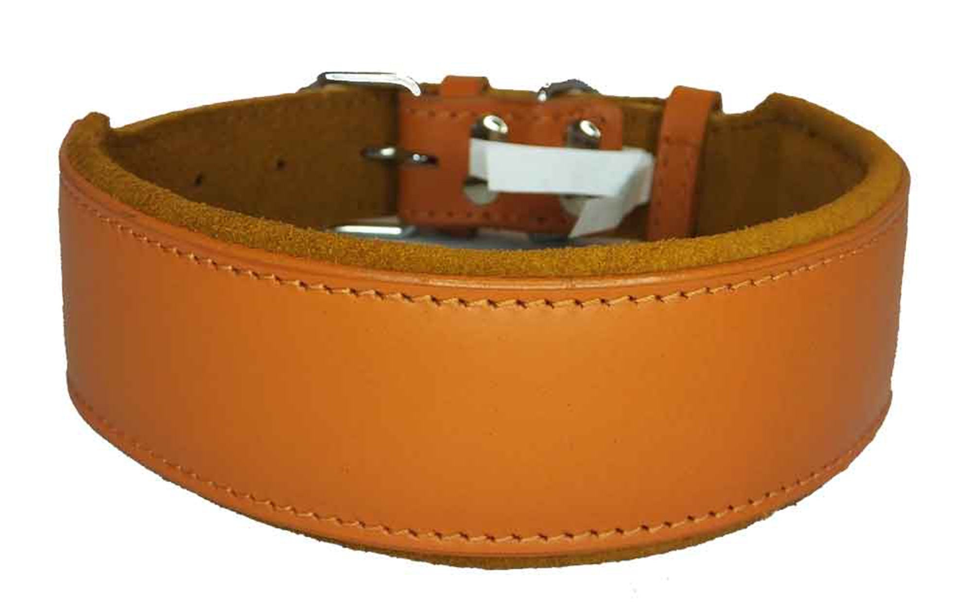 Leather Dog Collar Staffy Staffordshire Bull Terrier Bulldog 6 Sises 9 Colours