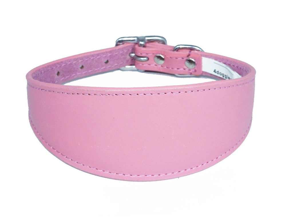 Iggy, Whippet, Greyhound, Lurcher Plain Leather Collar Sude Backing