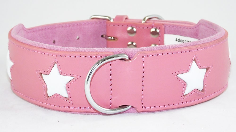 Leather Padded collar Staffordshire Bull Terrier Dog Collar Padded Dog Collars Staffy Bulldog Stars