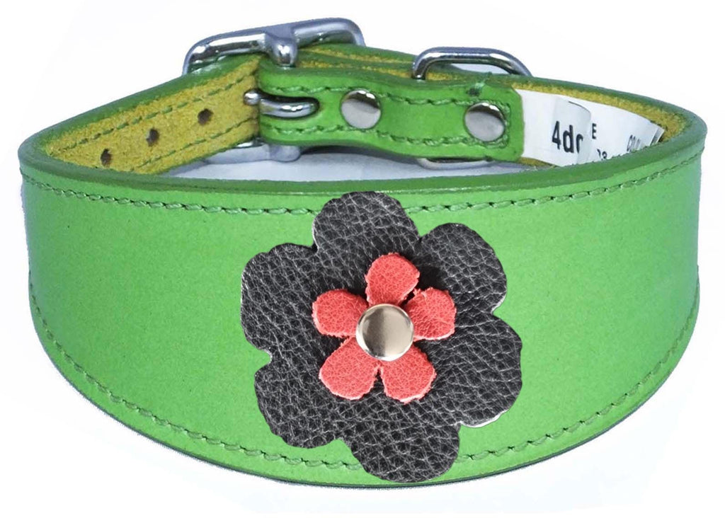 Whippet Greyhound Sighthound Lurcher Decorative Flower Design Leather Collar FD5-4