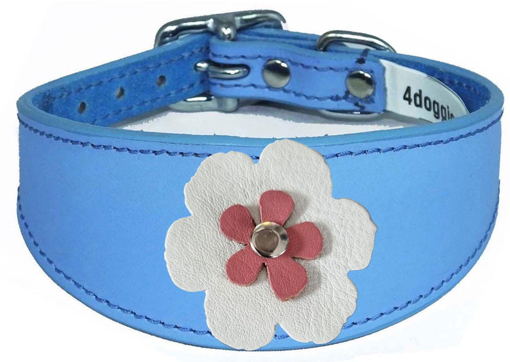 Whippet Greyhound Sighthound Lurcher Decorative Flower Design Leather Collar FD7-6