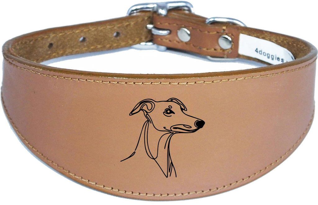 Padded Leather Collar Iggy Greyhound Whippet Sighthound NL 29