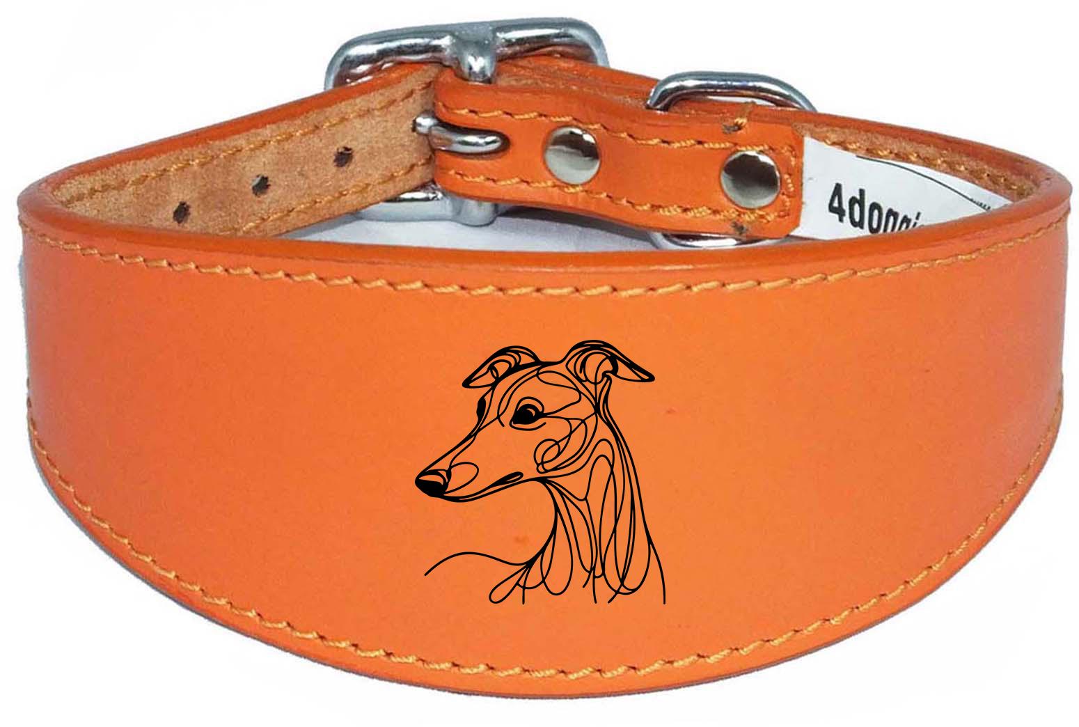 Padded Leather Collar Iggy Greyhound Whippet Sighthound NL 30