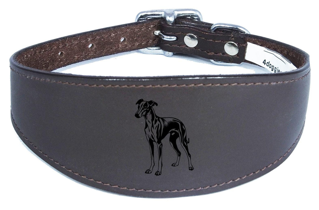 Luxury Greyhound Whippet Sighthound Padded Leather Collar NL 27