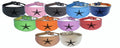Dog Collar Leather Greyhound Collar Whippet Collar Padded Backing Laser Engraved D15