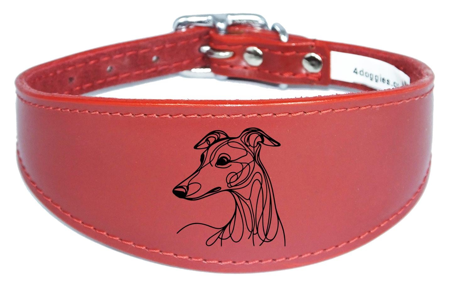 Padded Leather Collar Iggy Greyhound Whippet Sighthound NL 30