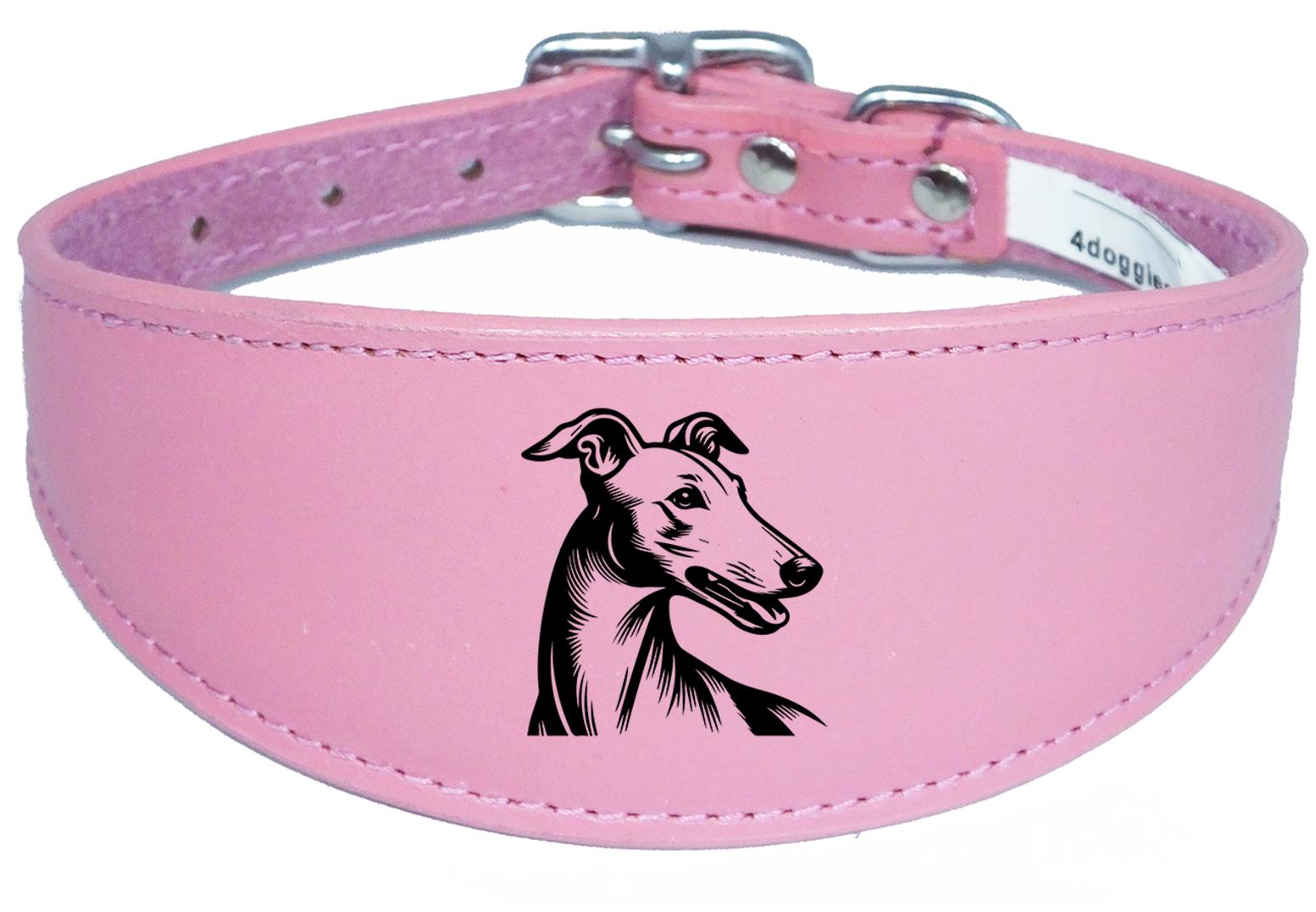 Sighthound Padded Leather Whippet Greyhound Luxury Collar NL 23