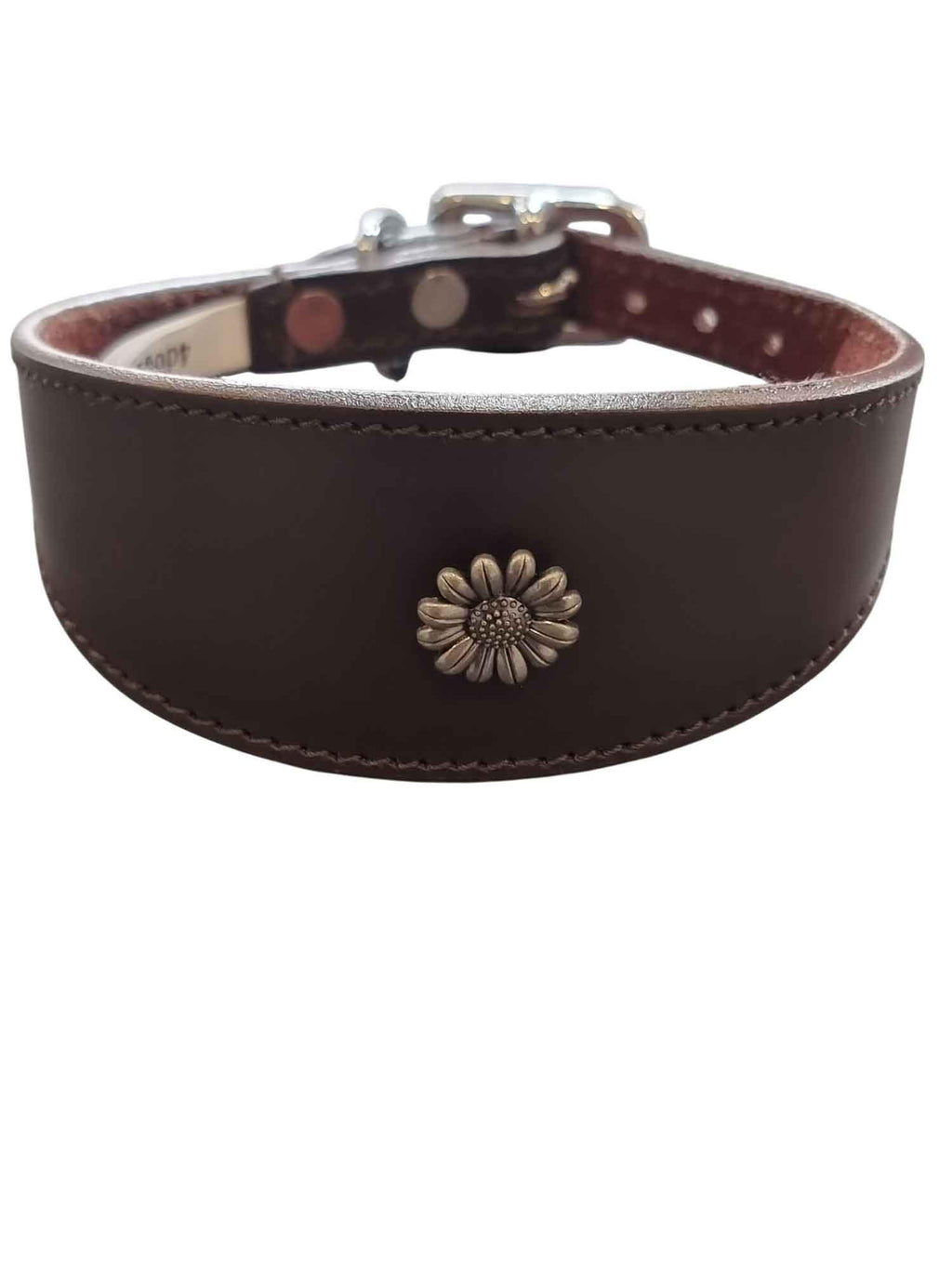Iggy, Whippet, Greyhound, Lurcher Leather Collar Decorative Stud Design DS 4