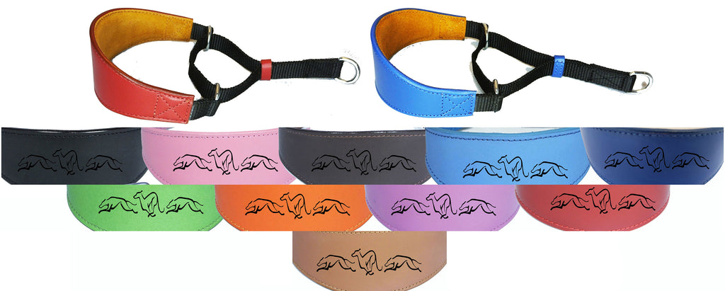 Italian Greyhound Whippet  Greyhound Afghan Saluki Leather Padded Dog Collar Running Hound Martingale