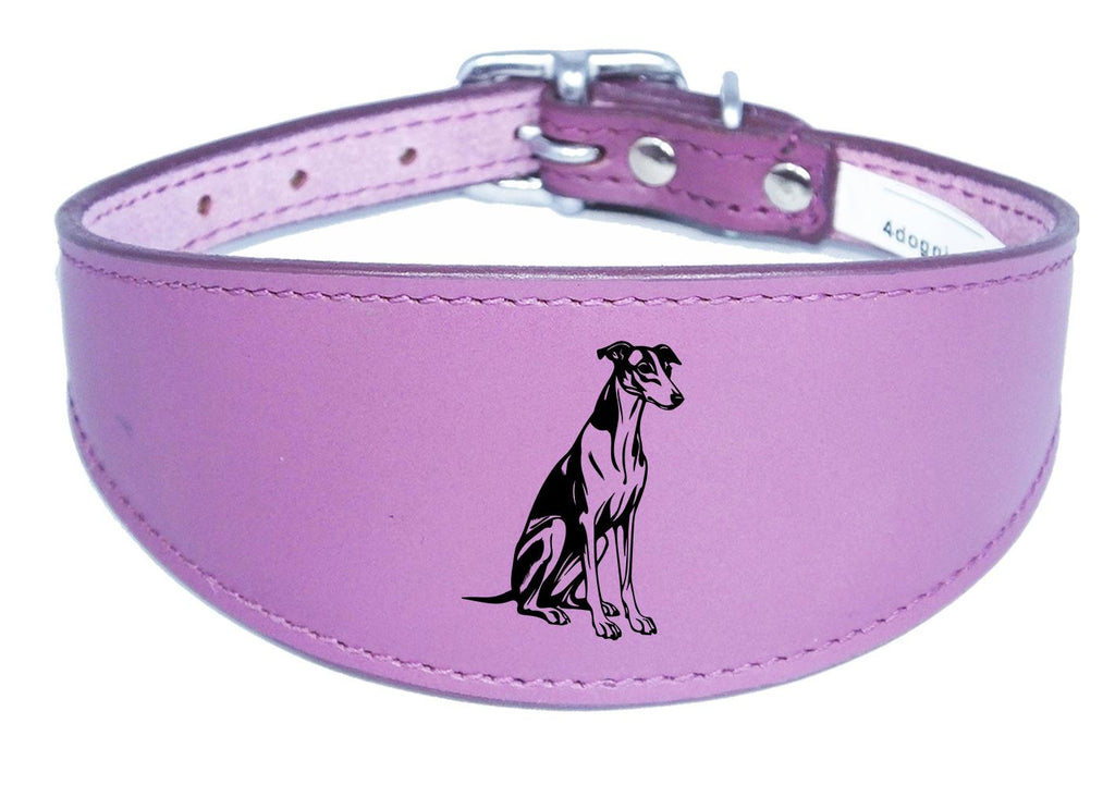 Sighthound Whippet Greyhound Handmade Wide Leather Collar NL 43