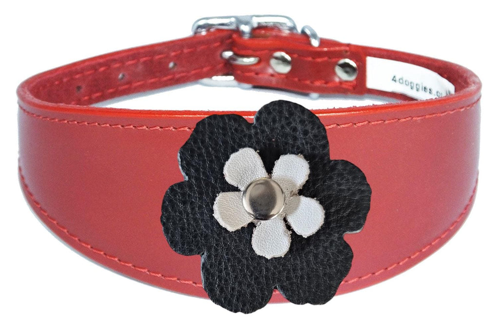 Whippet Greyhound Sighthound Lurcher Decorative Flower Design Leather Collar FD5-7