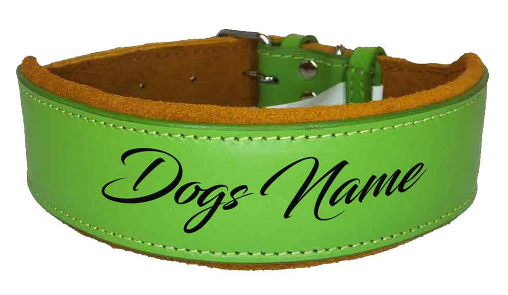Personalised Leather Staffy Dog Collar Bull Terrier Bulldog Dogs Name Collar
