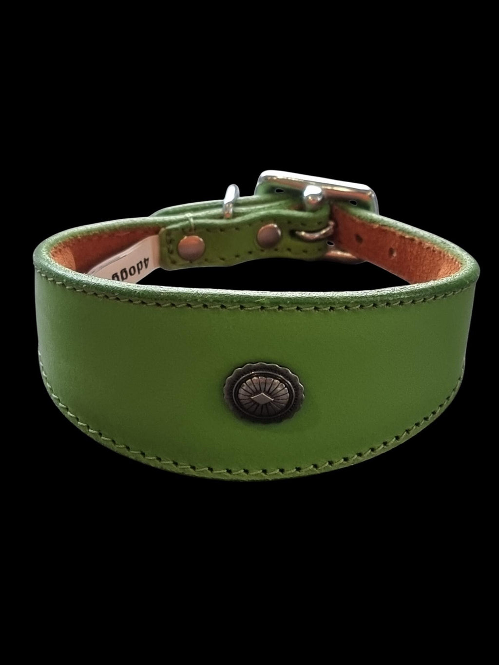 Leather Collar For Iggy, Whippet Greyhound Lurcher Decorative Stud Design DS2