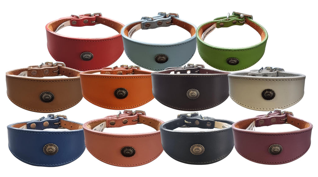 Leather Collar For Whippet Greyhound Lurcher Decorative Stud Design DS 2