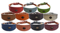 Leather Collar For Whippet Greyhound Lurcher Decorative Stud Design DS 2