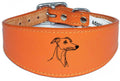 Padded Leather Collar Iggy Greyhound Whippet Sighthound NL 29