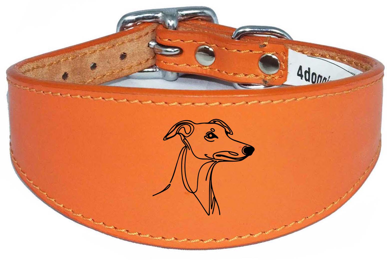Padded Leather Collar Iggy Greyhound Whippet Sighthound NL 29