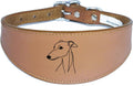 Iggy Greyhound Sighthound Whippet Dog Collar with Padded Backing NL 10
