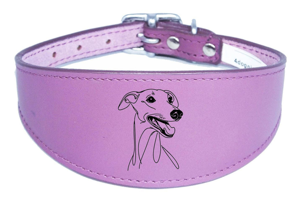 Leather Sighthound Greyhound Whippet Dog Collar with Padded Backing NL 4