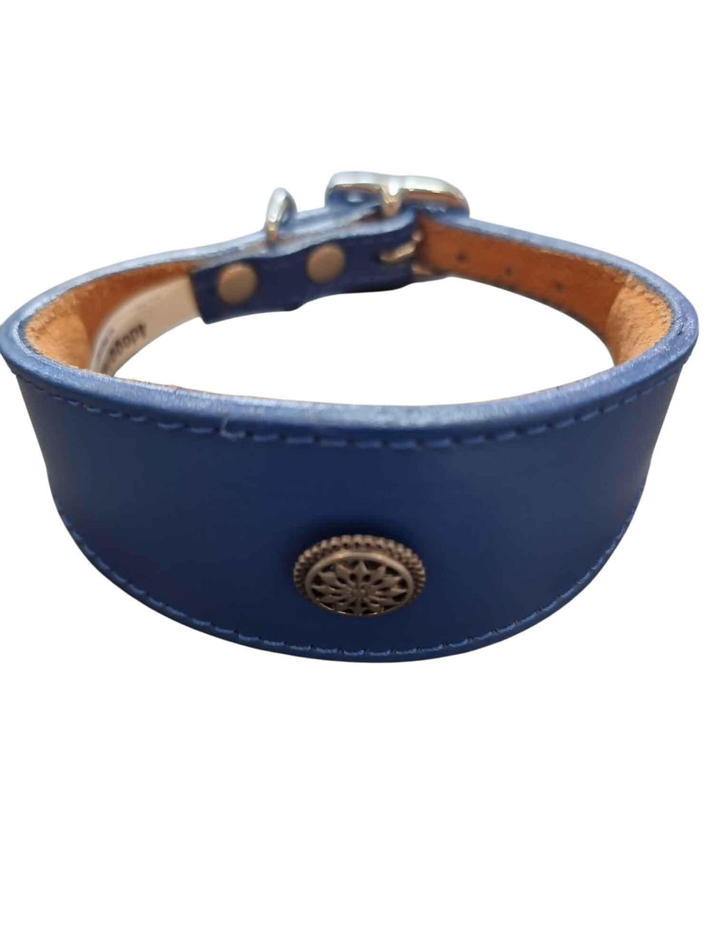 Leather Collar For Whippet Greyhound Lurcher Decorative Stud Design DS 3