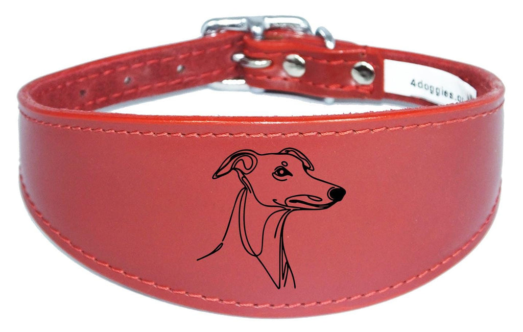 Padded Leather Collar Iggy Greyhound Whippet Sighthound NL 29