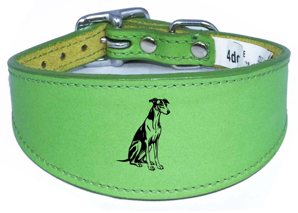 Luxury Whippet Greyhound Sighthound Padded Leather Collar NL 26