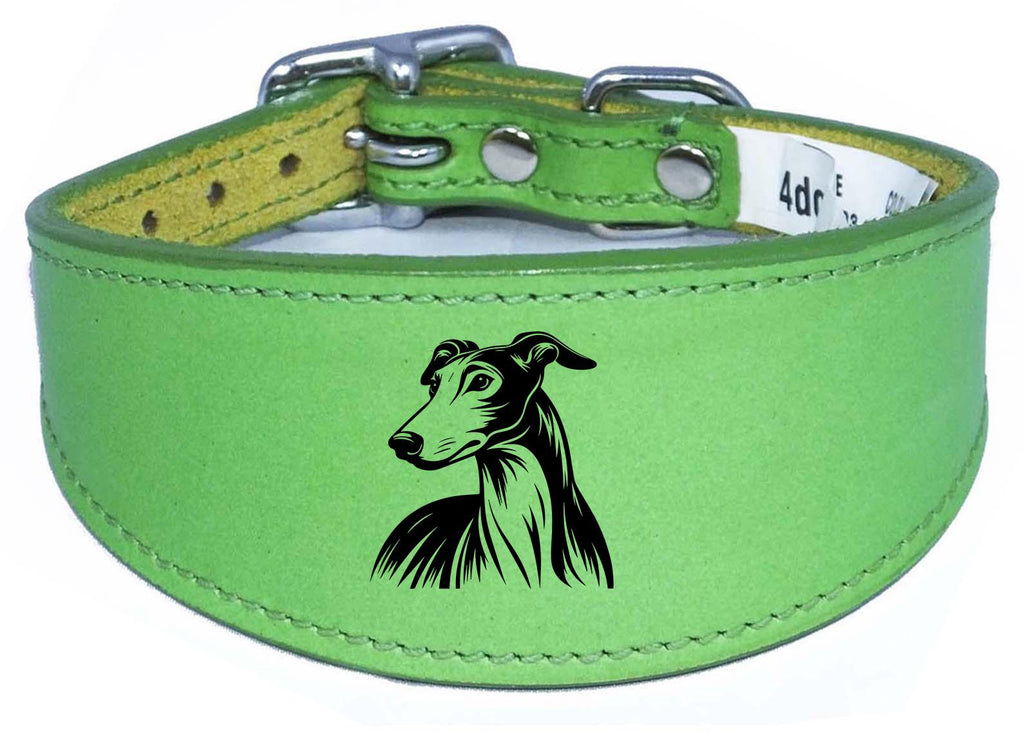 Whippet Greyhound Sighthound Padded Leather Luxury Collar NL 24