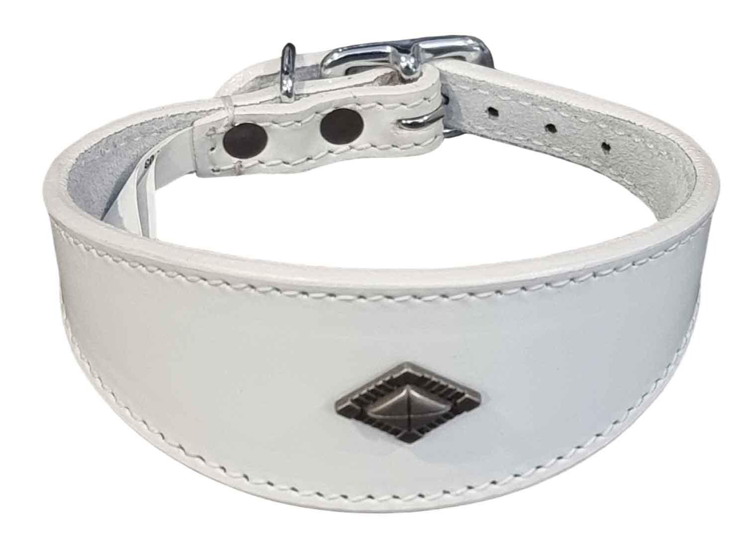 Leather Collar For Whippet Greyhound Lurcher Decorative Stud Design DS 1