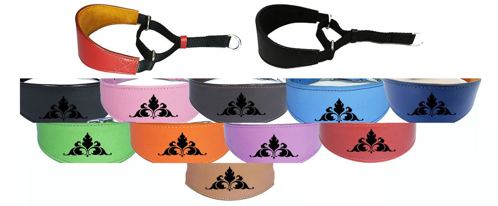 Leather Dog Collar Padded Suede Backing Greyhound Whippet Hound Martingale D1