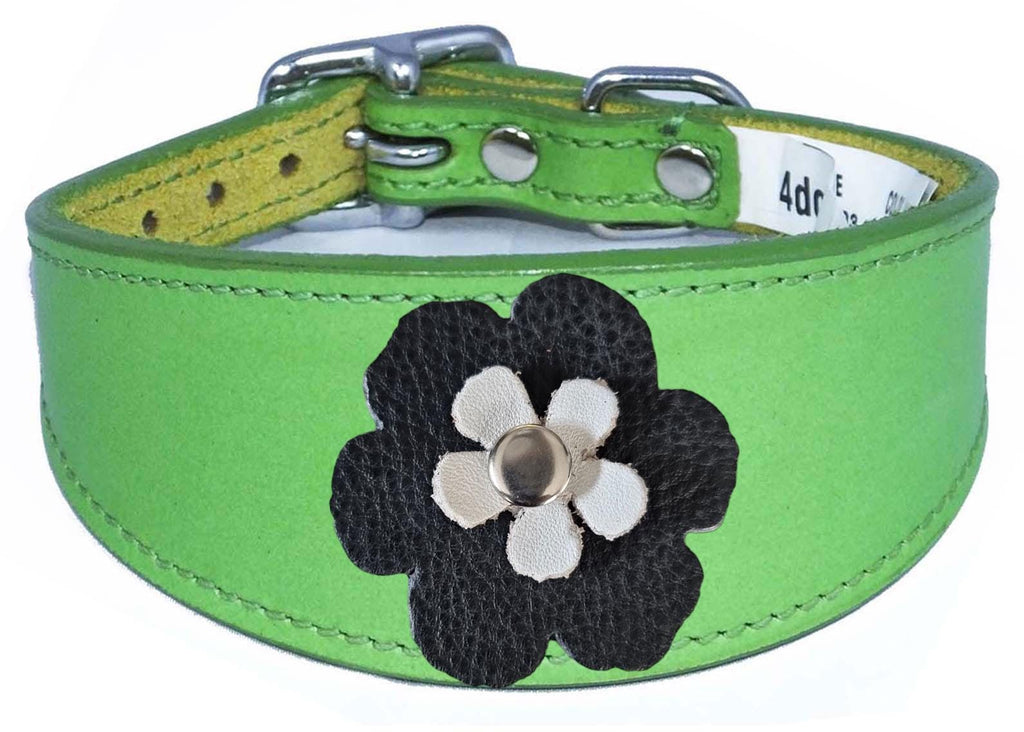 Whippet Greyhound Sighthound Lurcher Decorative Flower Design Leather Collar FD5-7