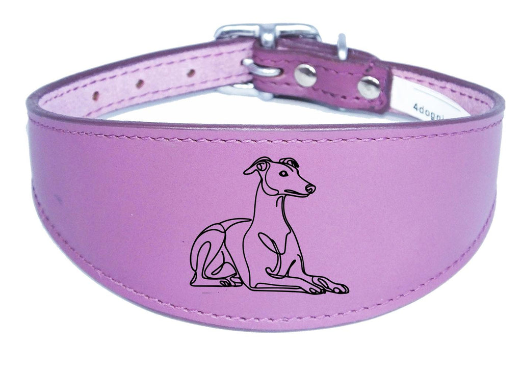 Wide Leather Collar For Greyhound Whippet Sighthound NL 32