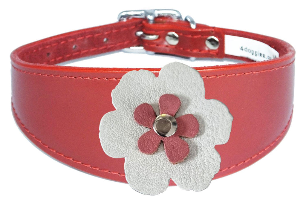 Whippet Greyhound Sighthound Lurcher Decorative Flower Design Leather Collar FD7-6