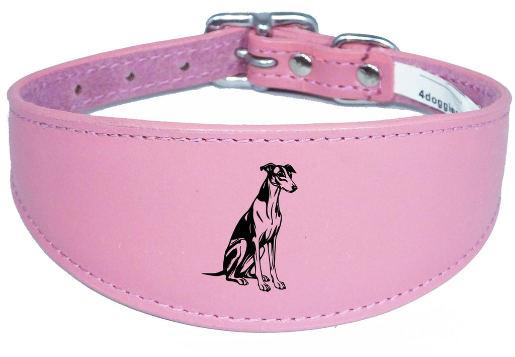 Luxury Whippet Greyhound Sighthound Padded Leather Collar NL 26