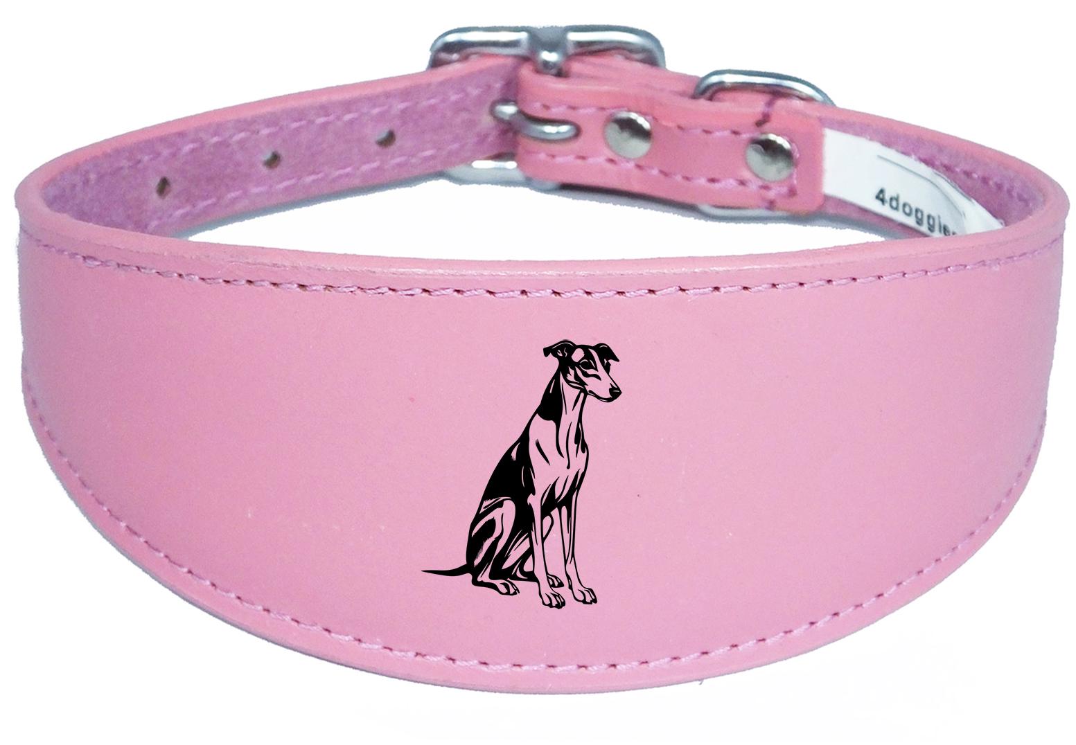 Luxury Whippet Greyhound Sighthound Padded Leather Collar NL 26