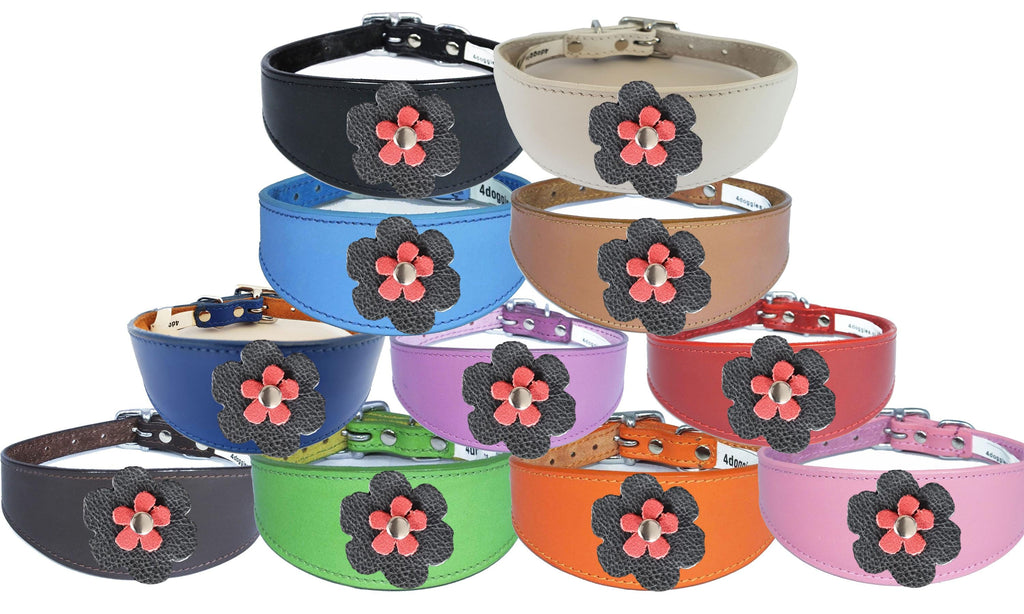 Whippet Greyhound Sighthound Lurcher Decorative Flower Design Leather Collar FD5-4