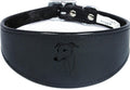 Luxury Padded Sighthound Leather Whippet Collar Handmade in the UK NL 21