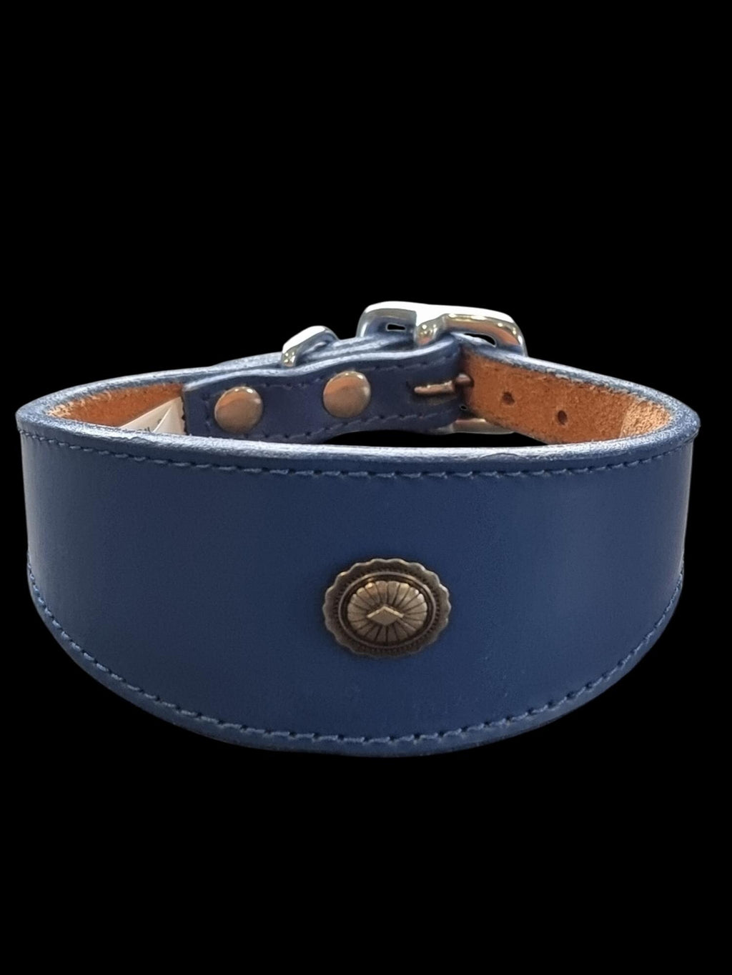 Leather Collar For Iggy, Whippet Greyhound Lurcher Decorative Stud Design DS2