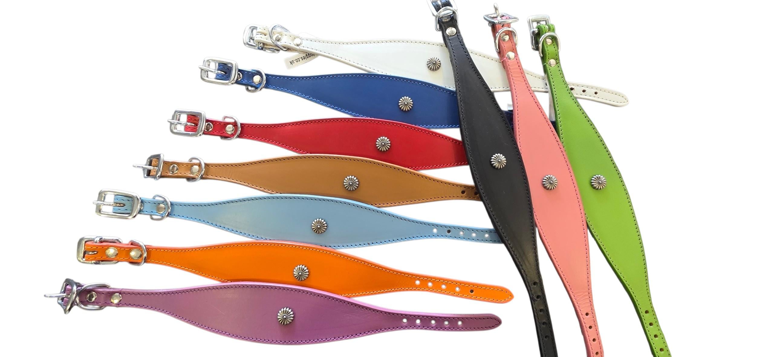 Leather Collar For Sighthound Whippet Greyhound Lurcher Decorative Stud Design DS 5