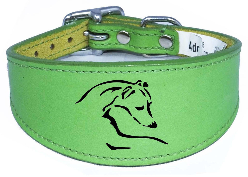 Dog Collar Leather Greyhound Collar Whippet Collar Padded Backing Laser Engraved D12
