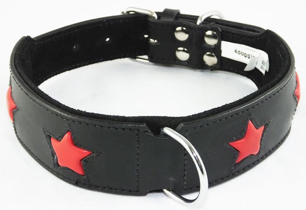Leather Padded collar Staffordshire Bull Terrier Dog Collar Padded Dog Collars Staffy Bulldog Stars