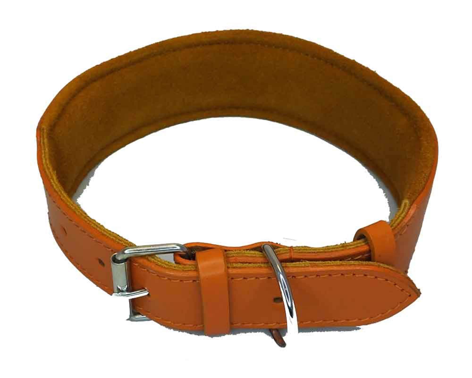 Leather Staffordshire Bull Terrier Dog Collar Padded Dog Collars Staffy Bulldog Padded collar D10