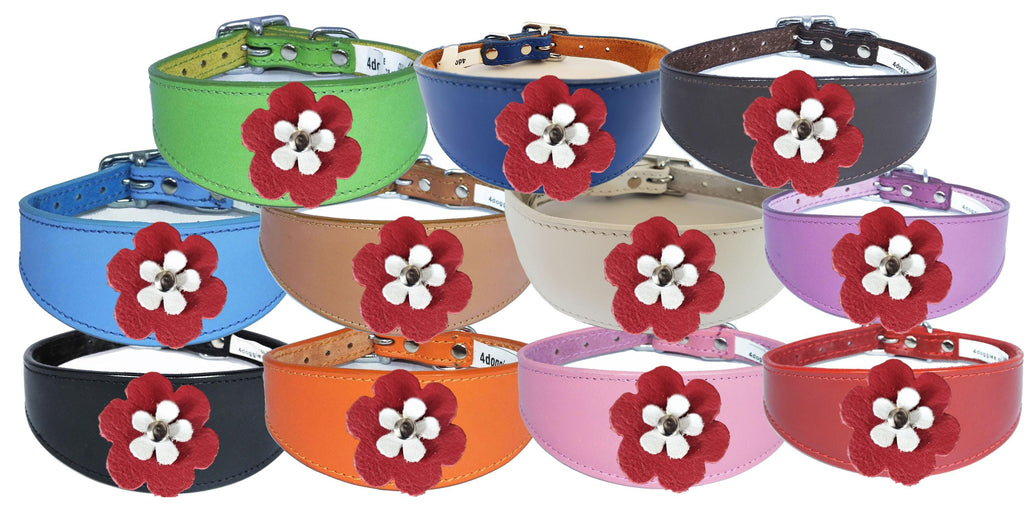 Greyhound Sighthound Whippet Lurcher Decorative Flower Design Leather Collar FD4-7
