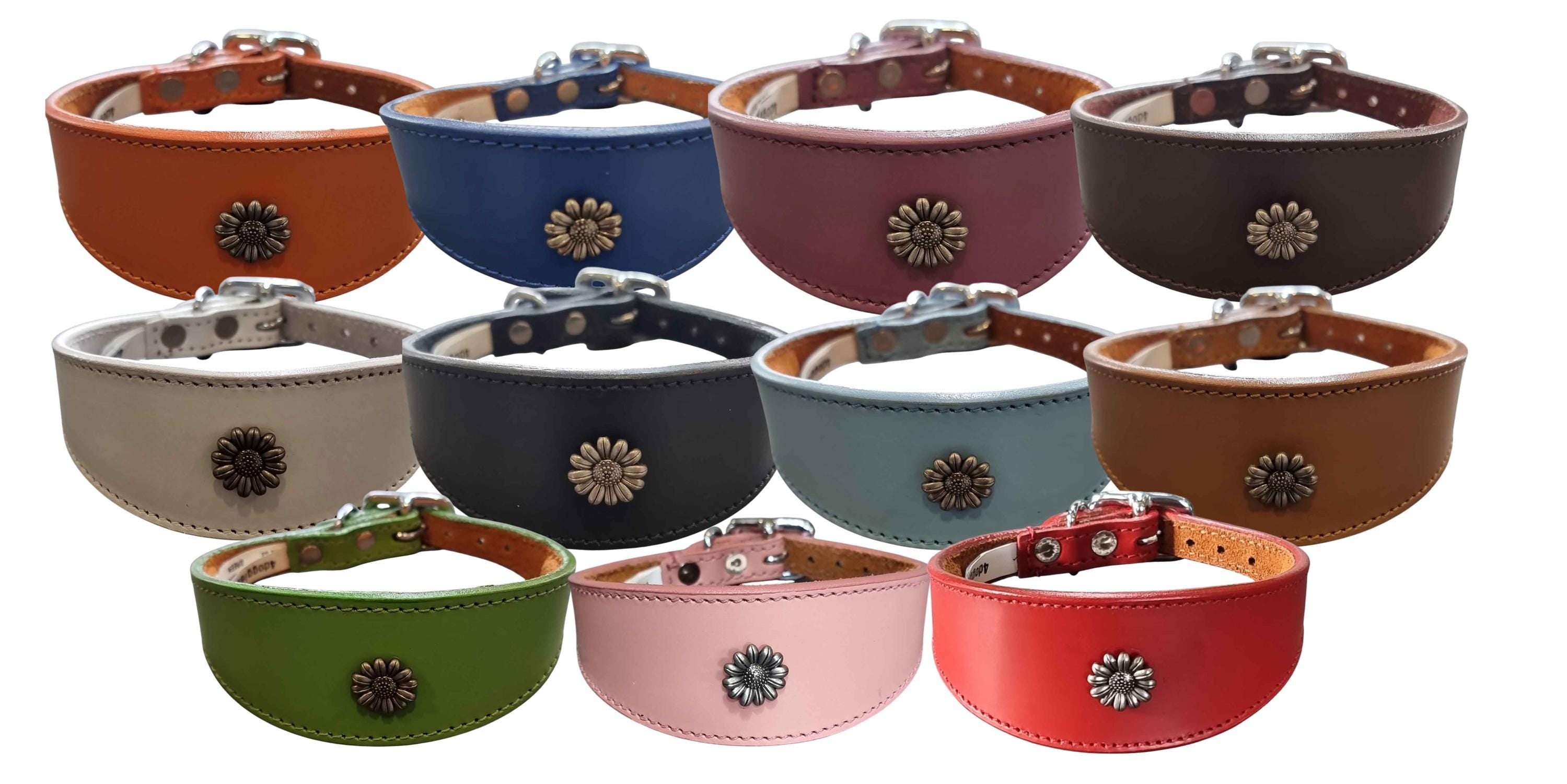 Iggy, Whippet, Greyhound, Lurcher Leather Collar Decorative Stud Design DS 4
