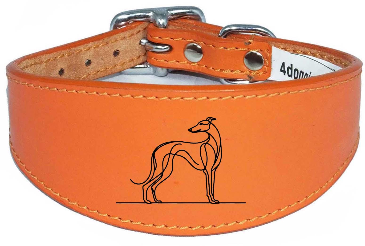 Engraved Leather Greyhound Whippet Dog Collar with Padded Backing NL 2